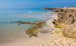 Montedarena